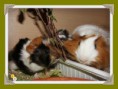 /album/fotogaleria-fotos-/ljusja-s-synom-jpg/